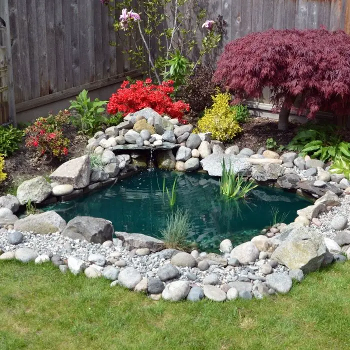 Are Backyard Ponds Hard To Maintain?