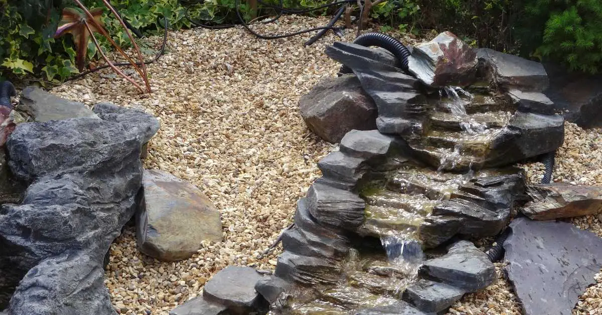 Can You Have A Backyard Pond Without A Pump? Backyard Pond Ideas and