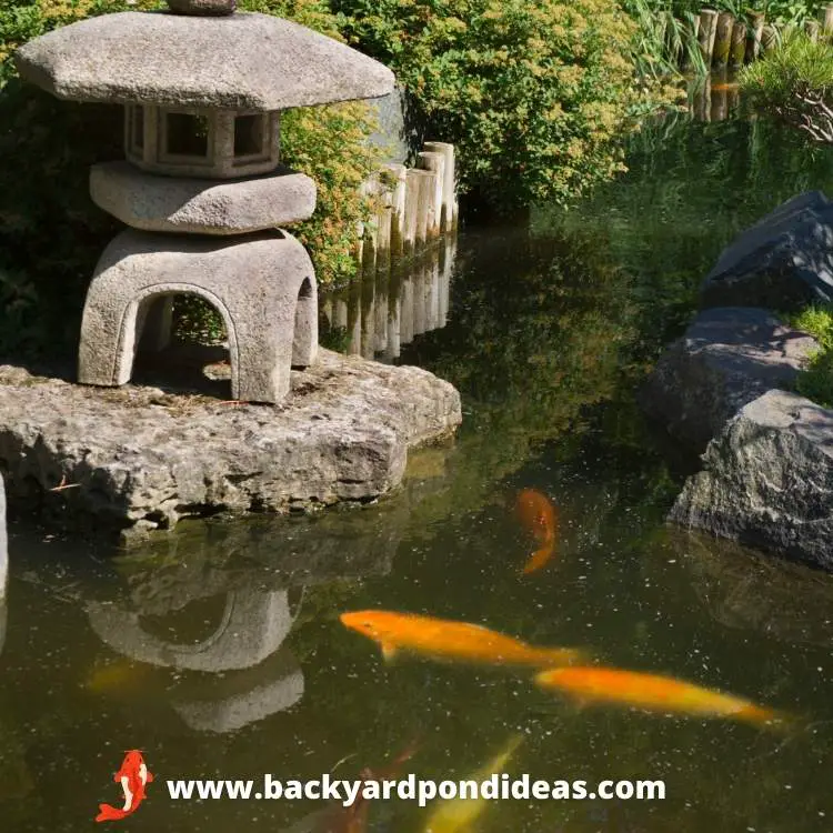 Koi Pond Design Ideas: Inspiration & Advice For Creating The Perfect Koi Pond Oasis