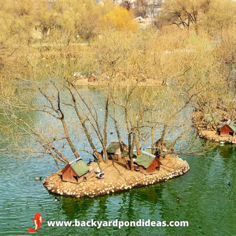 A koi pond with duck houses on small islands in Japan.