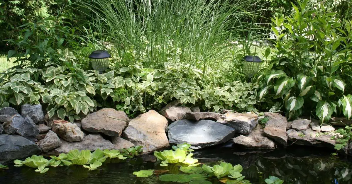 How To Make Your Backyard Pond Look More Attractive & Natural – 7 Simple Solutions