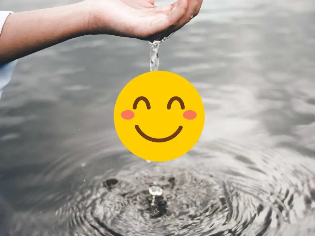 clean water in a pond with a happy face emoji