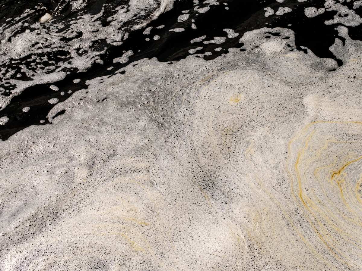 Why is My Koi Pond Foamy? Can I Fix It? Backyard Pond Ideas and Supplies