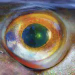 close up of cloudy fish eye