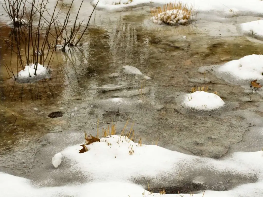 A frozen fish pond in winter.