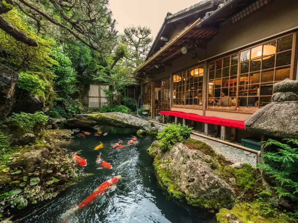 koi pond outside a restaurant in japan