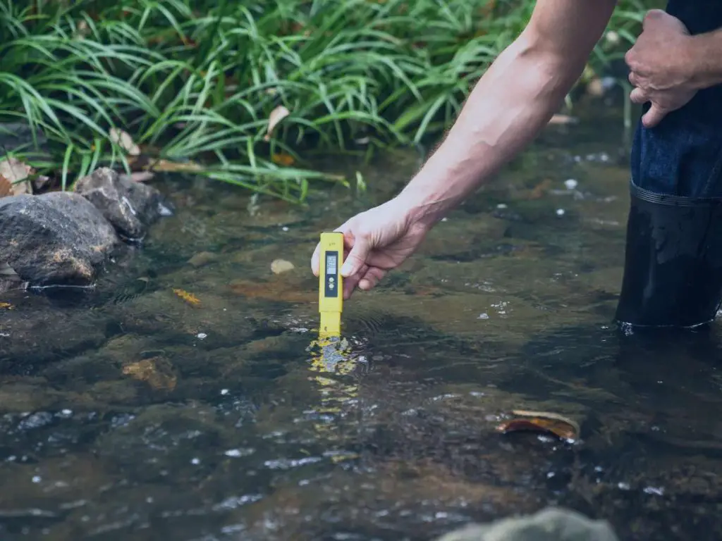 Testing the water of a koi pond for alkalinity and hardness.