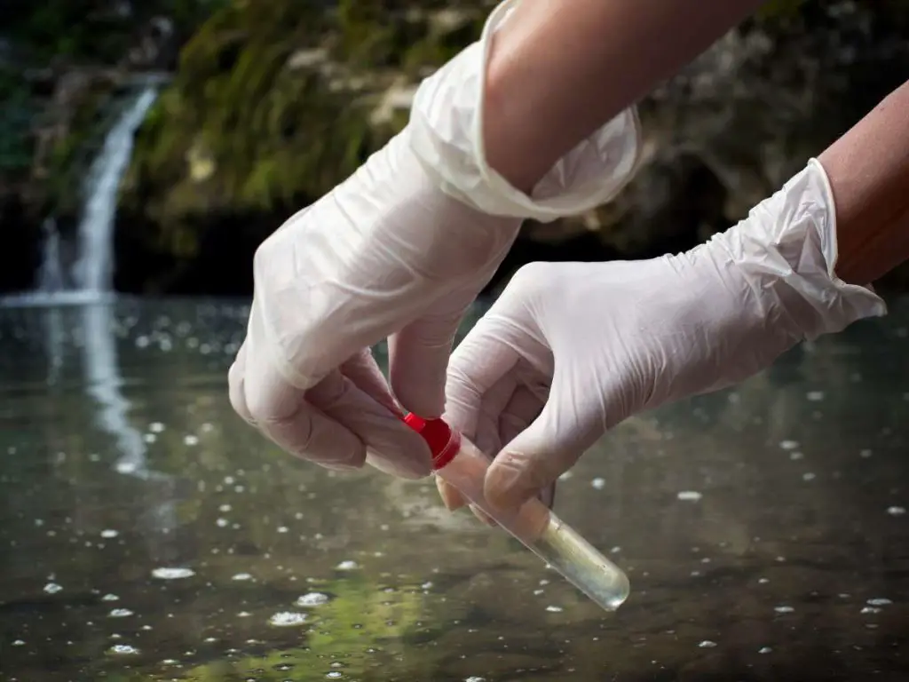 A koi pond water test.