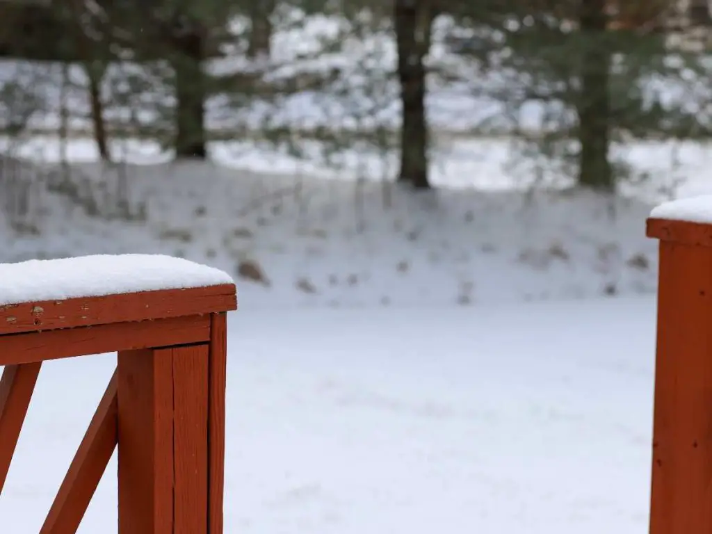 winter view of backyard from patio